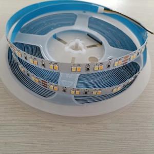 LED strips 2835-120-10mm-CCT